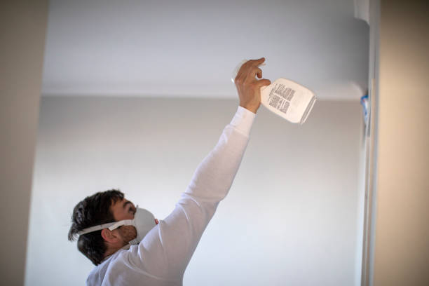 Mold Removal and Inspection in Urania, LA