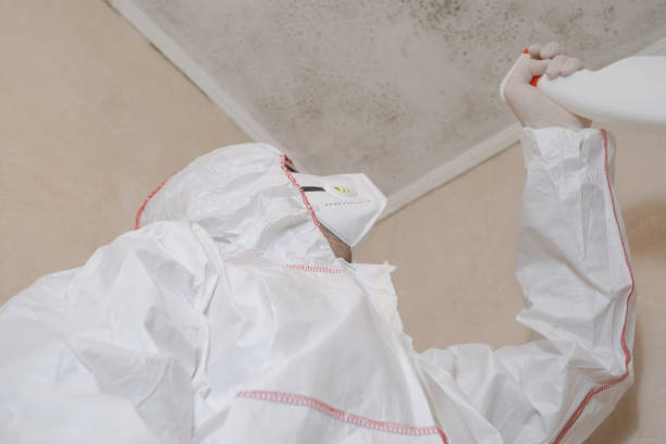 Best Mold Remediation Experts  in Urania, LA