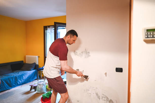 Best Mold Damage Repair  in Urania, LA